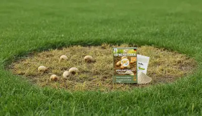 Engerlinge im Rasen erfolgreich bekämpfen