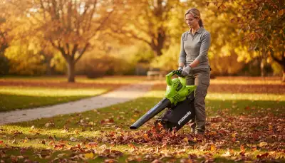 Herbstlaub effizient beseitigen und verwerten
