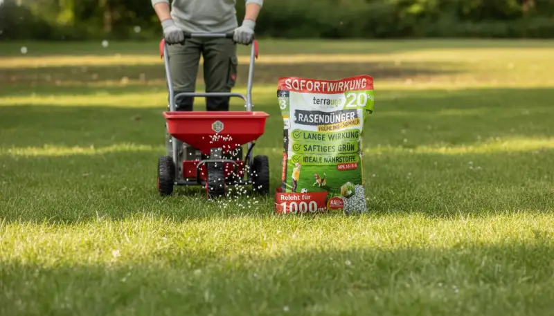 Moosvernichter richtig anwenden