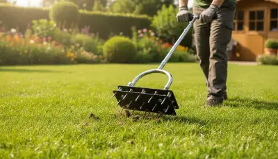 Rasen lüften: Atmen für einen gesunden Rasen