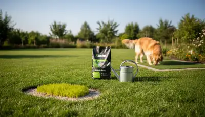 Rasen retten: Hundeurin-Flecken beseitigen