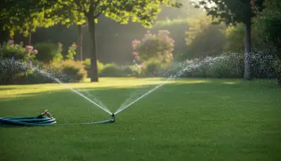 Rasen richtig bewässern: So geht's!