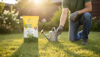 Rasen verbrannt: So retten Sie ihn