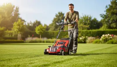 Rasen vertikutieren: So gelingt's