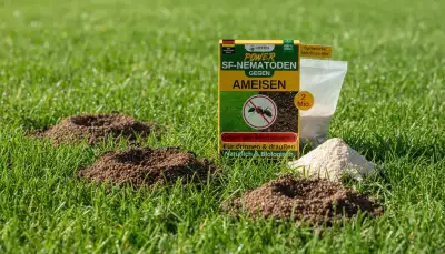 Rasenameisen bekämpfen: Ihr Rasen, ameisenfrei
