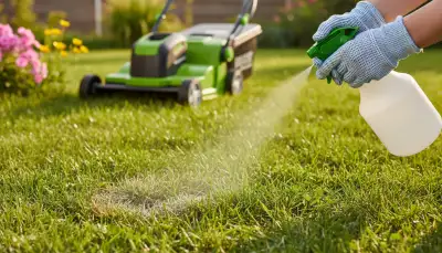 Rasenpilz bekämpfen: So wird Ihr Rasen wieder grün