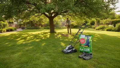 Schattenrasen: Grün auch im Halbschatten