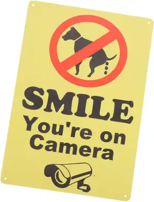 Wetterfestes Hundewarnschild aus Metall mit Smile You Re Camera Warnung Langlebi