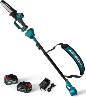 2-IN-1 Akku Hochentaster und Mini Kettensäge, CST01 15 cm Bürstenlose Teleskop A