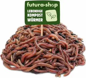 Futura-Shop Kompostwürmer lebend – 3 Arten Wurm-Mix für Wurmkiste, Wurmkomposter & Gartenkompost als Kompoststarter -Würmer Regenwürmer lebend (500 Stück)