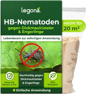 Legona HB-Nematoden gegen Dickmaulrüssler - 20m² / 10 Mio - hochwirksam & biolog