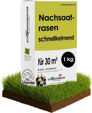 Samen Schwarzenberger I Nachsaat Rasensamen | 1 kg für 30 m² I schnellkeimend & 