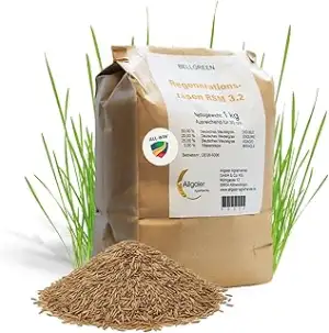 ALL-WIN Bellgreen Regenerationsrasen RSM 3.2 – 1 kg für ca. 30 m² | Nachsaat Ras