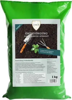 Gründüngung Mischung Ganzjährig Gründüngung Saatgut 1 kg - Gründünger zur Bodenverbesserung mit Humusaufbau und Bodenlockerung im Garten