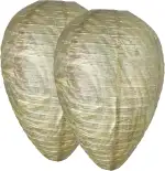 Wespennest Attrappe, Hornissennest Attrappe, Ameisenköderdose Für Außen,Wespennest Attrappe Wetterfest, Wespen Abwehr, Hängender Hornissennest für Haus Garten und Outdoor (Grün)