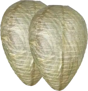 Wespennest Attrappe, Hornissennest Attrappe, Ameisenköderdose Für Außen,Wespenne