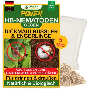 GREEN GUARDIA Power HB-Nematoden gegen Dickmaulrüssler & Engerlinge - 5 Mio. (10