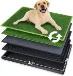 Hundetoilette 76×51 cm – 5-Schicht Hundeklo mit Tablett & 2 Ersatz Kunstrasen – Geruchsfrei, ruts...