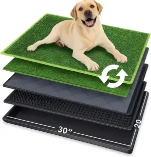 Hundetoilette 76×51 cm – 5-Schicht Hundeklo mit Tablett & 2 Ersatz Kunstrasen – 