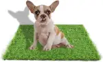 75 * 110 cm Hundetoiletten Kunstrasen Outdoor Hundeklo für Zuhause Hundetoilette Wohnung Hundetoilette Balkon Wiederverwendbare Trainingsunterlagen für Hunde Rasen Dekoratio