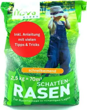 Schattenrasen Samen Rasensamen schnellkeimend Frühjahr 2,5 kg = 70 m² | Grassame