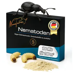 Nematoden gegen Dickmaulrüssler Larven biologische Schädlingsbekämpfung bei Larv