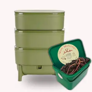 Wurmbox Komposter grün 3 Etagen | Wurmkomposter Starterset inkl. 500 Kompostwürmer