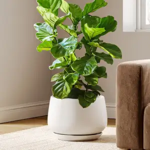 LE TAUCI Blumentopf Keramik, 30 cm Übertopf für Pflanzen, Pflanztopf mit Drainag
