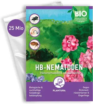 Plantura HB-Nematoden gegen Dickmaulrüssler & Engerlinge, Nützlinge, 25 Mio für 