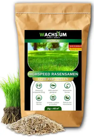 Rasensamen schnellkeimend 1kg 40qm – Frühjahr und Sommer Premium Grassamen Nachs