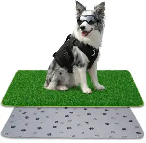 90*60CM 2-in-1 Pinkelmatte für Hunde Hundeklo Hundetoilette Welpentoilette mit K