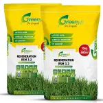 Greenyp Turbo Nachsaat RSM 3.2 I Rasensamen schnellkeimend Frühjahr I 20kg für 800m² I Ideal gegen Lücken als Neu- & Nachsaat I 100% RSM Rasensamen I Grassamen Rasensaat Gras Reparaturrasen