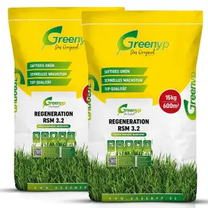 Greenyp Turbo Nachsaat RSM 3.2 I Rasensamen schnellkeimend Frühjahr I 20kg für 8