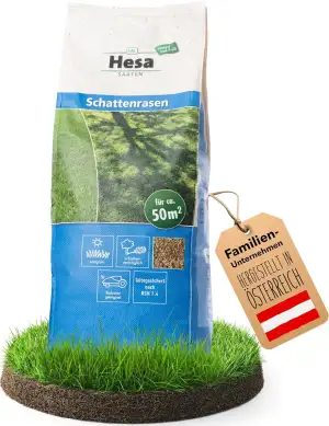 Hesa Schattenrasen RSM 7.4, 1kg für ca 50 m², Premium Rasensamen, Zierrasen für 