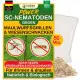 GREEN GUARDIA Super SC-Nematoden gegen Maulwurfsgrillen, Wiesenschnaken und Erdraupen – 50 Mio. (...