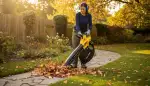 Akku Laubsauger: Freiheit im Garten