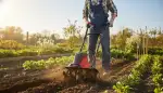 Boden vorbereiten: Gartenfräse richtig einsetzen