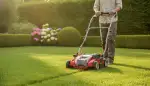 Effizient Rasenfilz entfernen: Vertikutieren