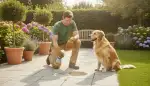 Hundeurin Geruch: Garten wieder frisch