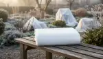 Pflanzen sicher durch den Winter bringen