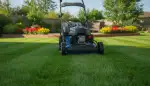 Rasen mulchen: So wird Ihr Garten vitaler