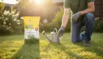 Rasen verbrannt: So retten Sie ihn