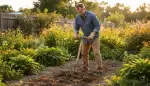 Verdichteten Gartenboden effektiv auflockern