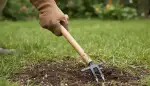 Wurzelunkraut entfernen: Effektive Methoden für Ihren Garten