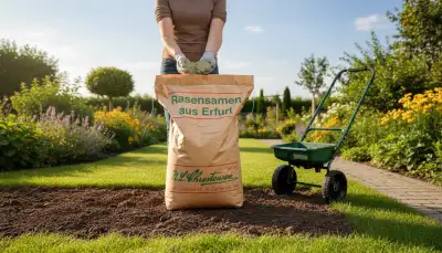 Der richtige Rasensamen für jeden Garten
