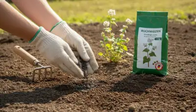 Gründüngung: Boden verbessern, Garten beleben
