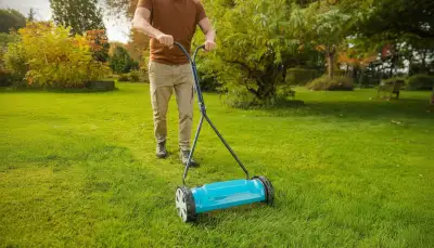 Spindelmäher: Perfekter Rasen leicht gemacht
